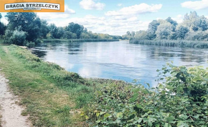 Działka Sprzedaż Brzeźce